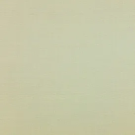 Ткань Manuel Canovas Nanda 04955-01