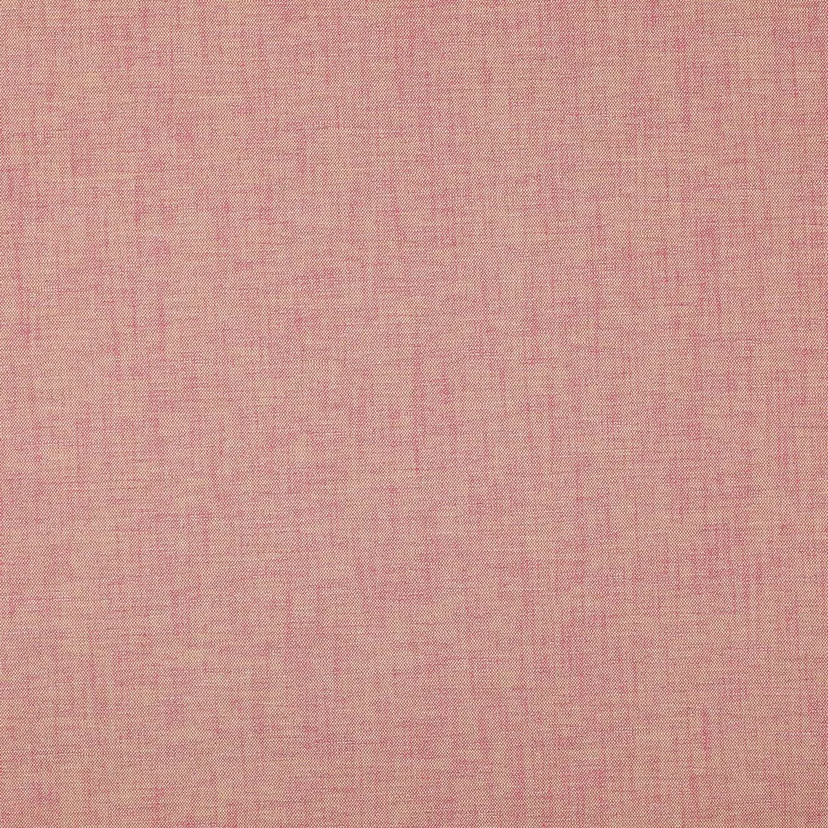 Ткань Manuel Canovas Pontac 04981-13