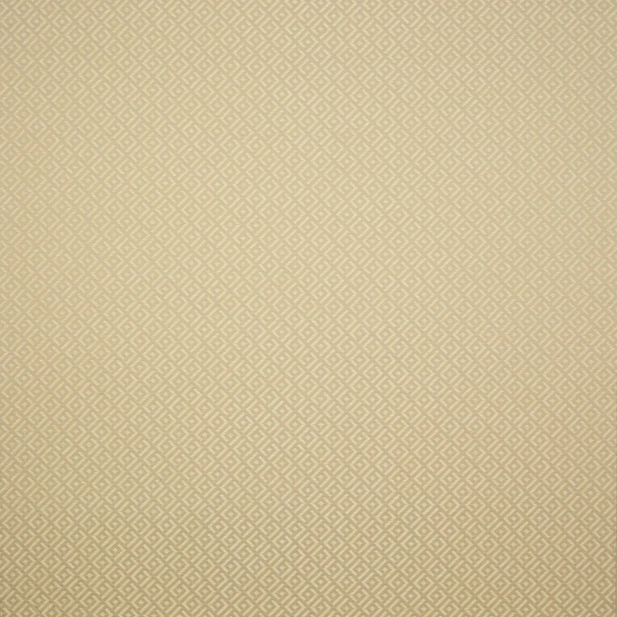 Ткань Manuel Canovas Vogue 04987-04