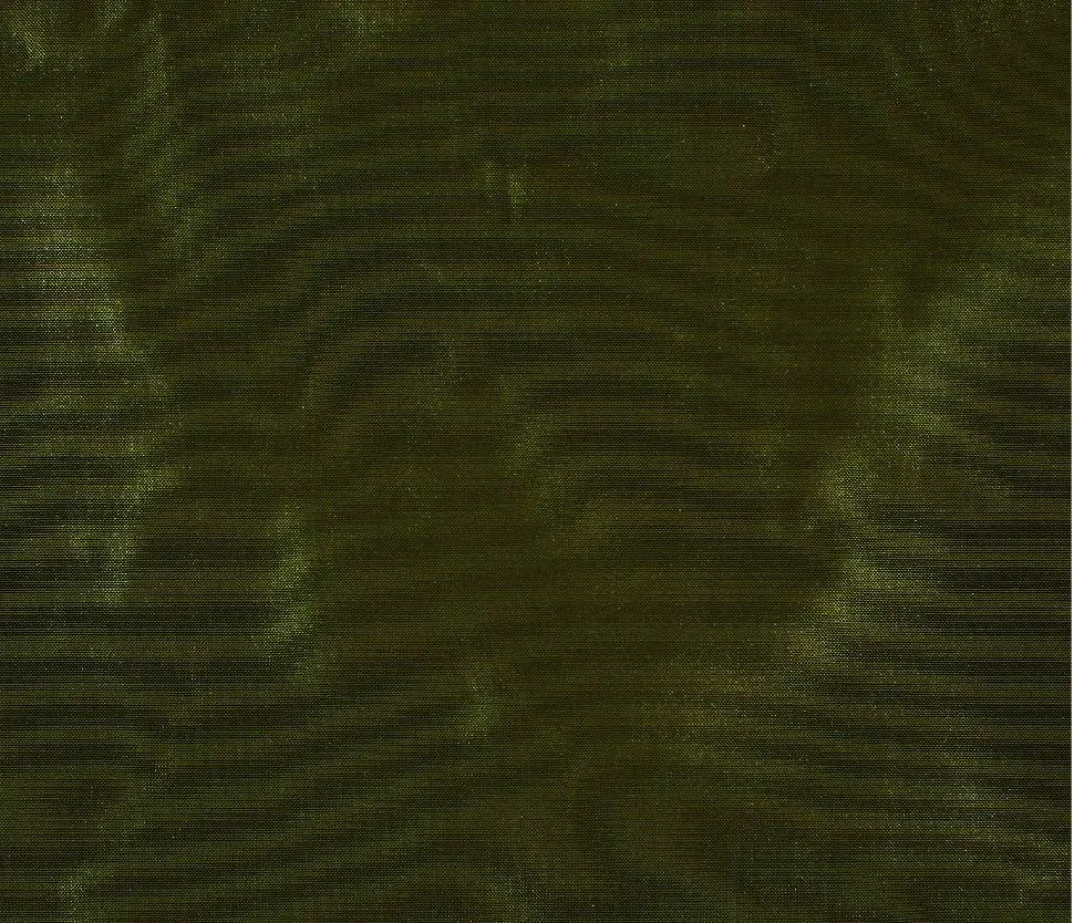 Ткань Alessandro Bini Iride NF127-39