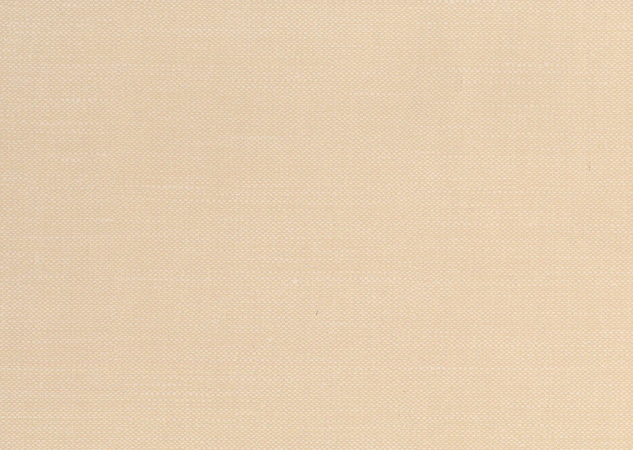 Обои для стен Jannelli & Volpi JV504 Tiebele 6262 #1