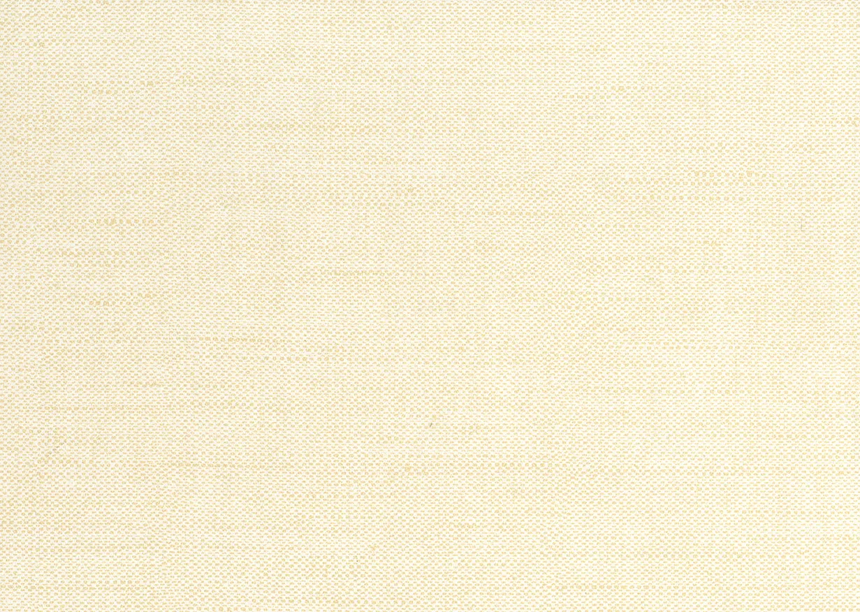 Обои для стен Jannelli & Volpi JV504 Tiebele 6267 #1