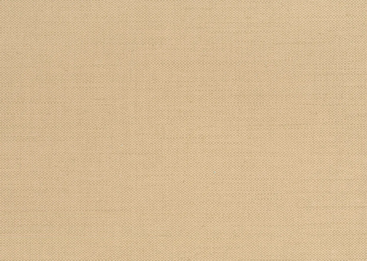 Обои для стен Jannelli & Volpi JV504 Tiebele 6272 #1