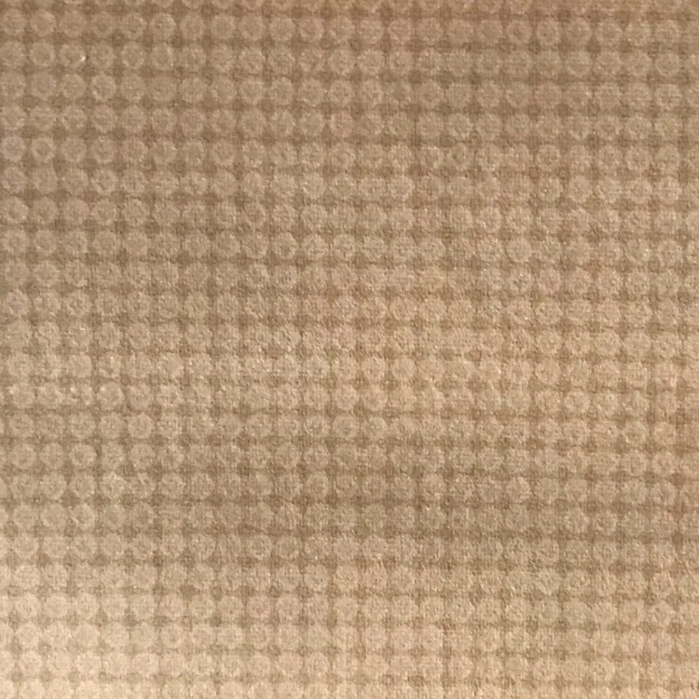 Ткань Foresti Home Collection Velluto Easy Clean P1121_01