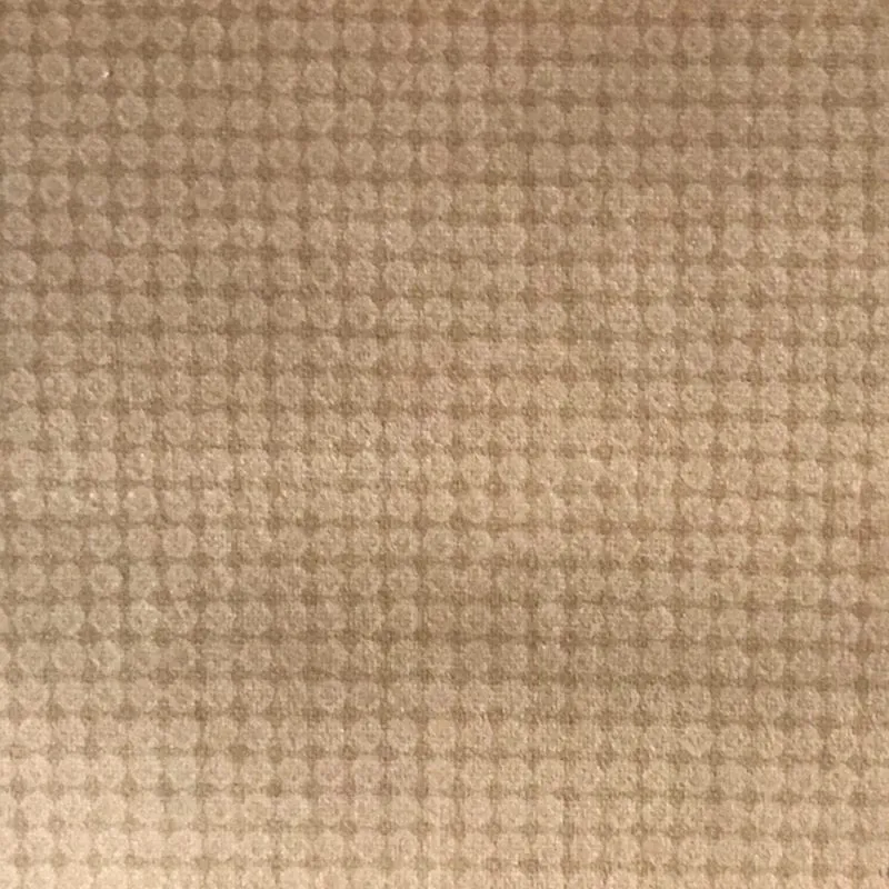 Ткань Foresti Home Collection Velluto Easy Clean P1121_01-