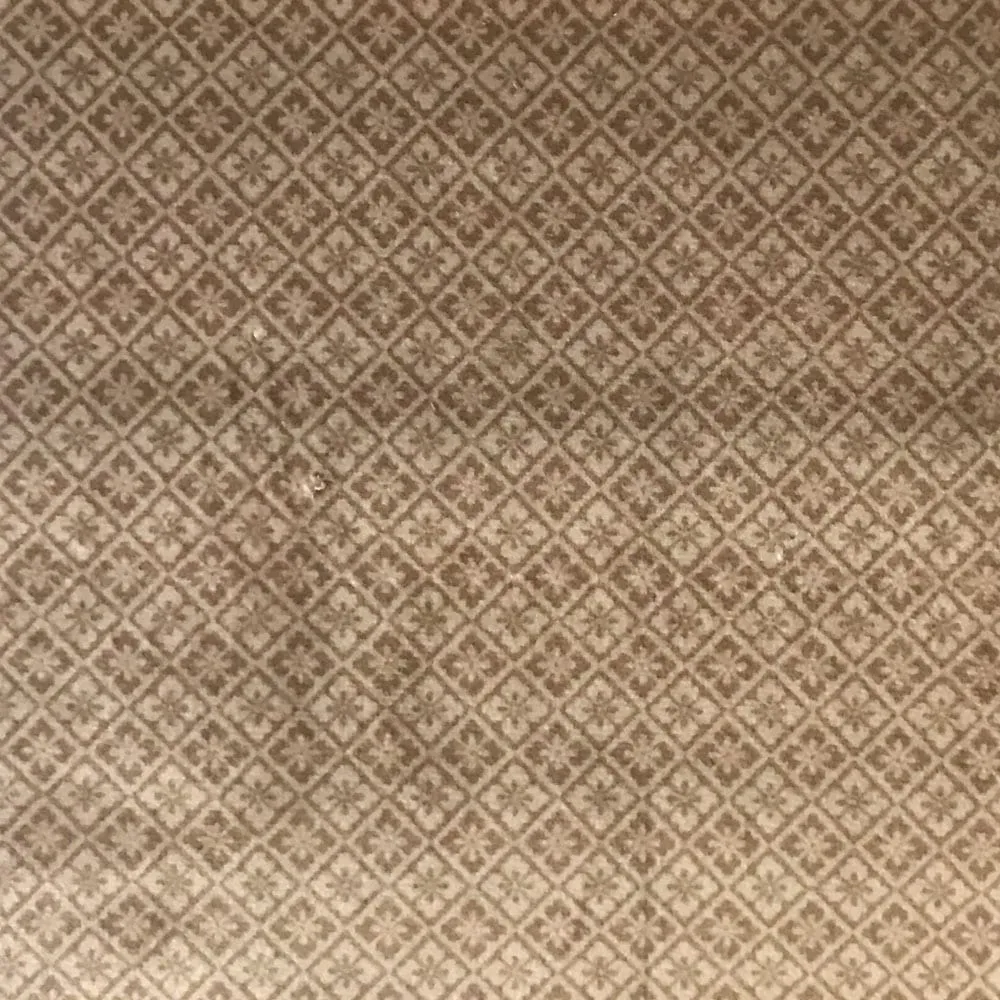 Ткань Foresti Home Collection Velluto Easy Clean P1122_01