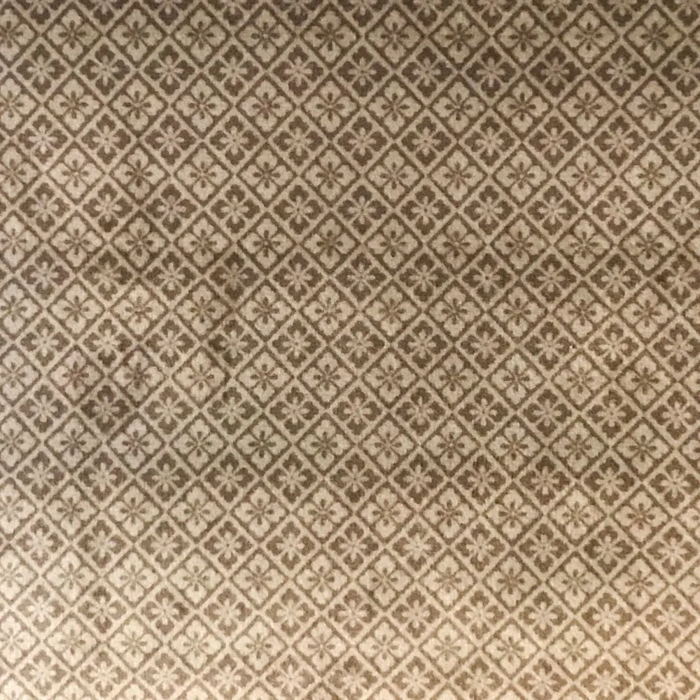 Ткань Foresti Home Collection Velluto Easy Clean P1122_02