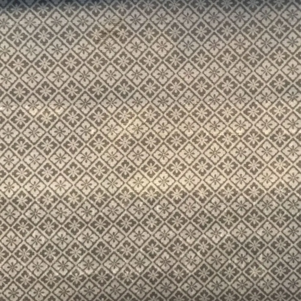 Ткань Foresti Home Collection Velluto Easy Clean P1122_05