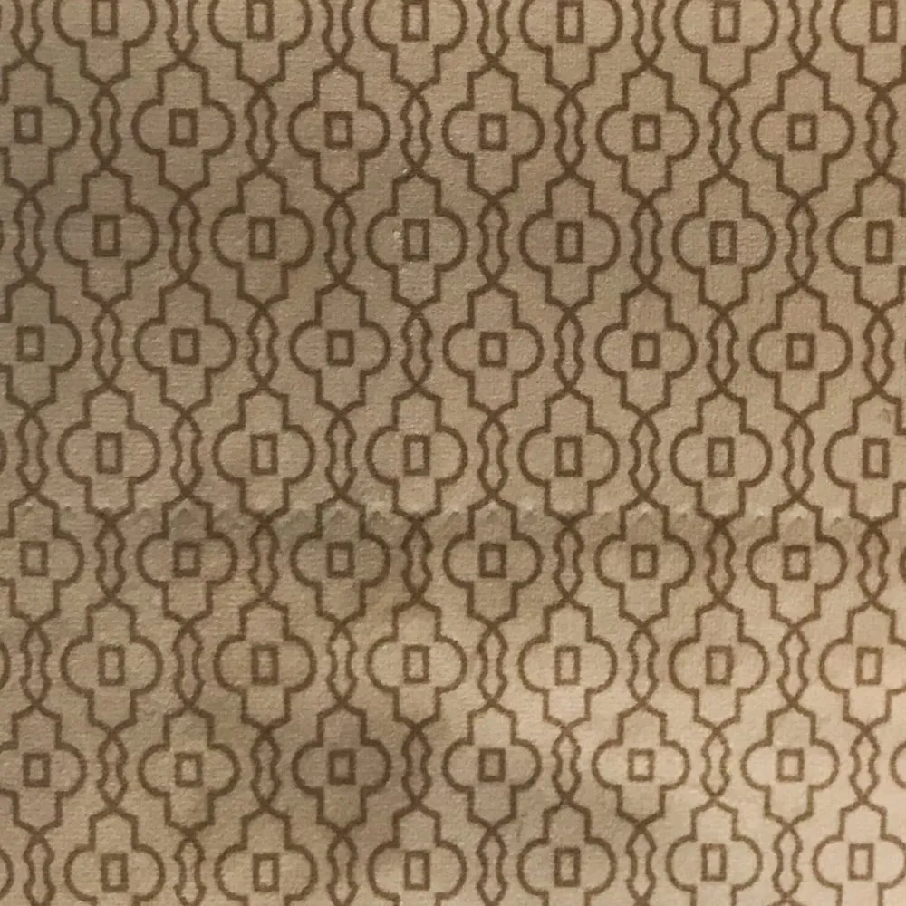 Ткань Foresti Home Collection Velluto Easy Clean P1123_01