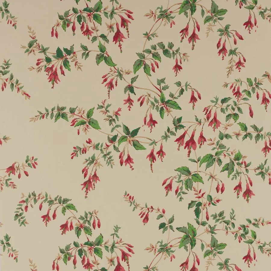 Обои для стен Colefax and Fowler Ashdown Wallpaper W7018-04