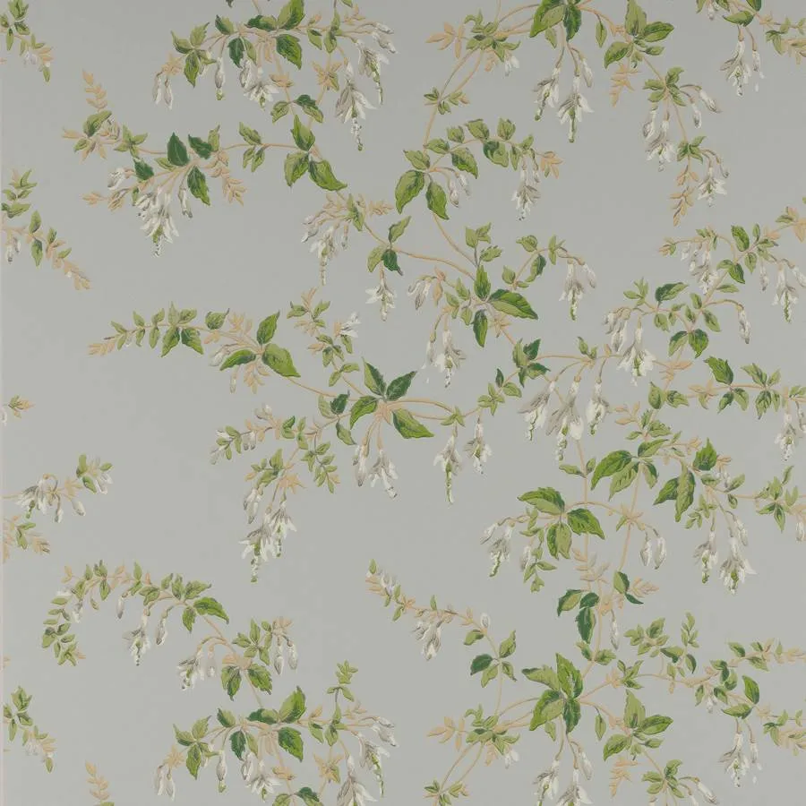 Обои для стен Colefax and Fowler Ashdown Wallpaper W7018-05