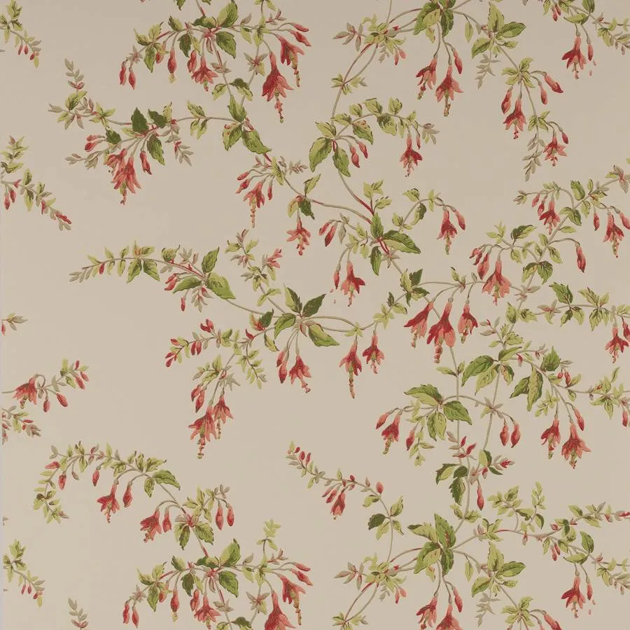 Обои для стен Colefax and Fowler Ashdown Wallpaper W7018-06