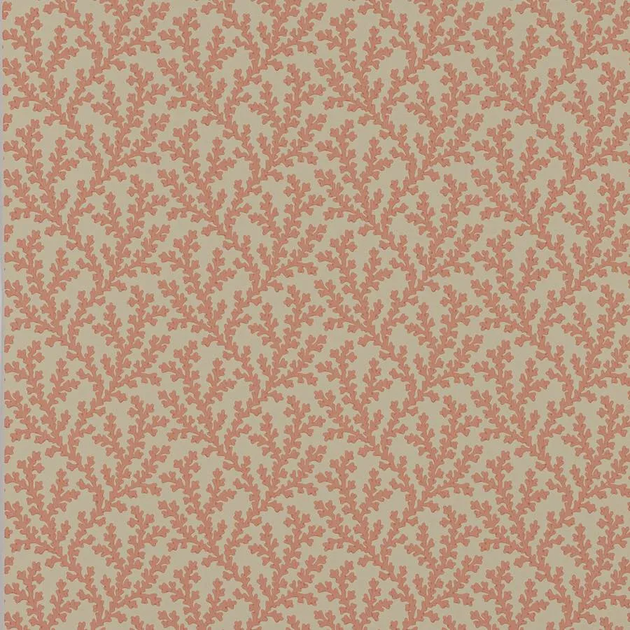 Обои для стен Colefax and Fowler Ashdown Wallpaper W7020-05