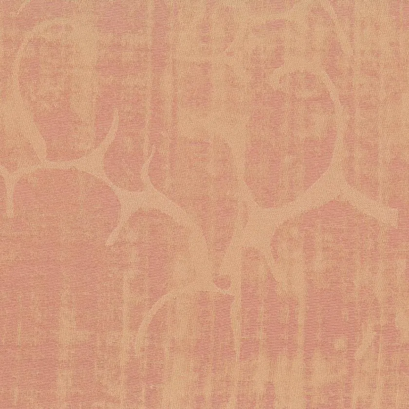 Ткань Rubelli Charme 30604_8