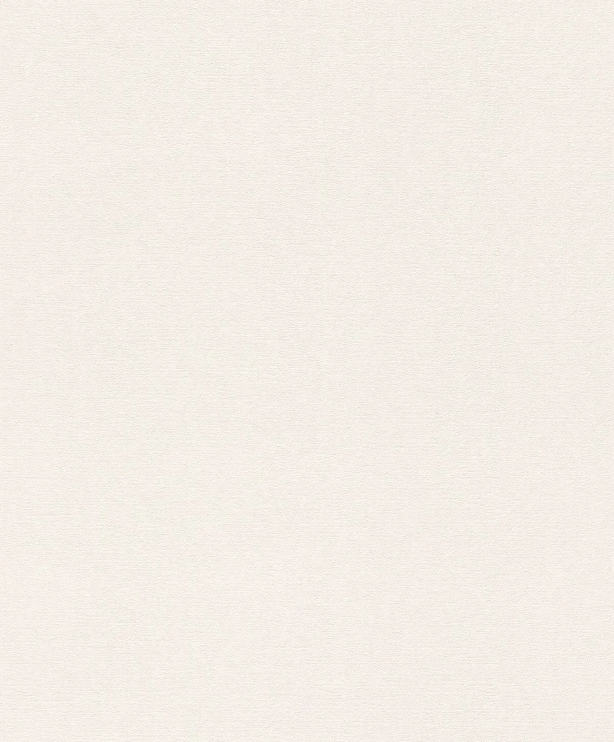 Обои для стен Emil&Hugo Bloomsbury 302164