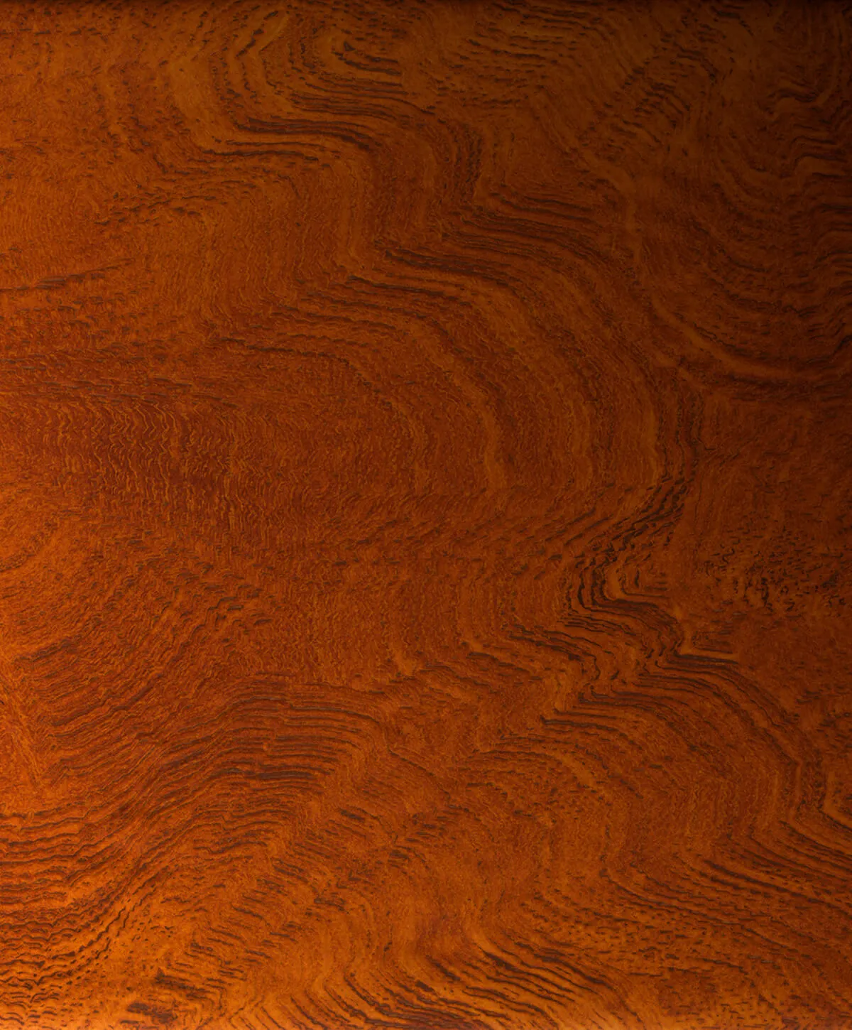 Обои для стен Emil&Hugo Contempo  303598