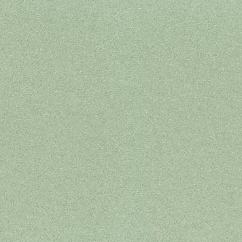 Ткань Rubelli Twilight 30625_8