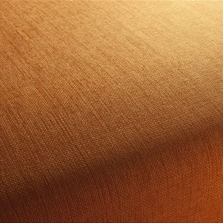 Ткань JAB Anstoetz Toro 1-1243-062