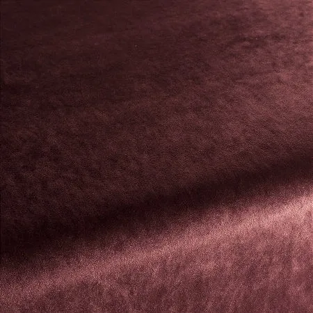 Ткань Carlucci Palazzo Velvet CA1175-013