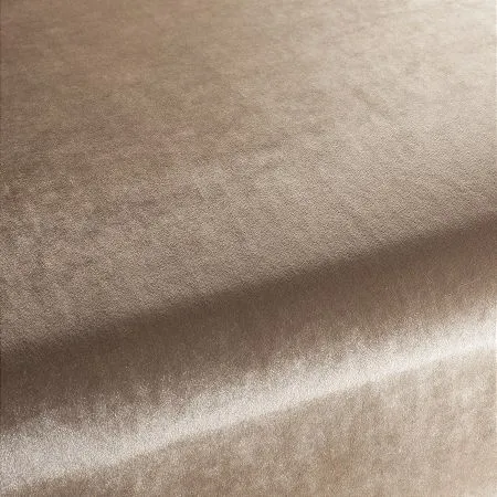 Ткань Carlucci Palazzo Velvet CA1175-024