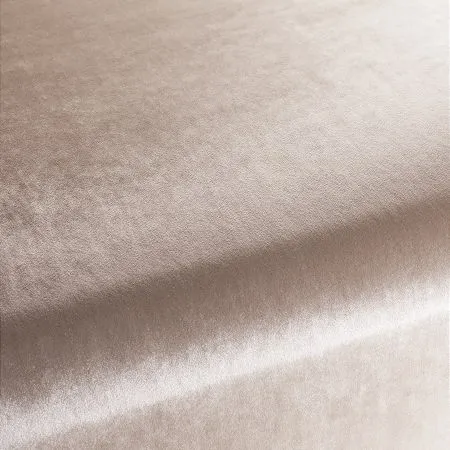 Ткань Carlucci Palazzo Velvet CA1175-025
