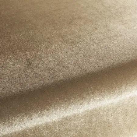 Ткань Carlucci Palazzo Velvet CA1175-026