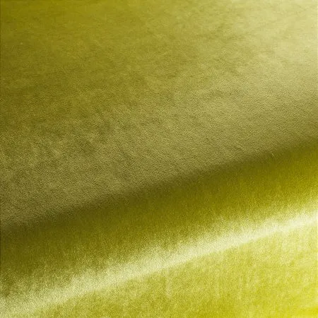 Ткань Carlucci Palazzo Velvet CA1175-031