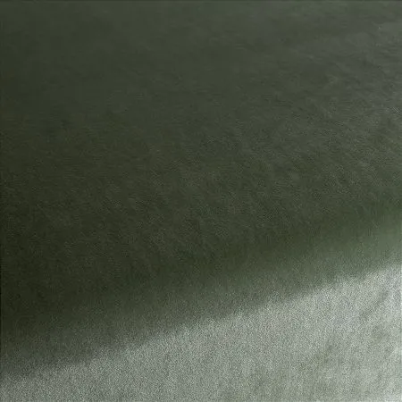 Ткань Carlucci Palazzo Velvet CA1175-034