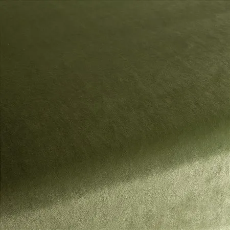 Ткань Carlucci Palazzo Velvet CA1175-035