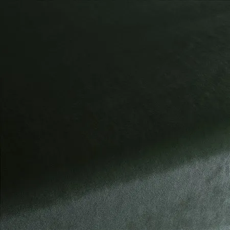 Ткань Carlucci Palazzo Velvet CA1175-037