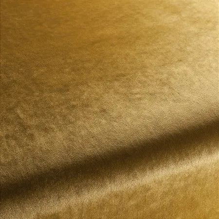 Ткань Carlucci Palazzo Velvet CA1175-040