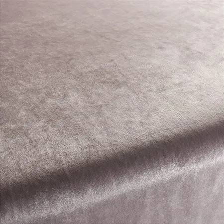 Ткань Carlucci Palazzo Velvet CA1175-060