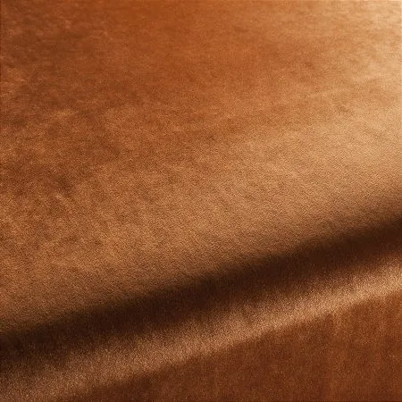 Ткань Carlucci Palazzo Velvet CA1175-061