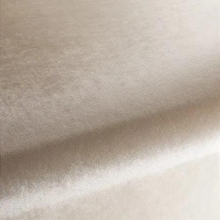 Ткань Carlucci Palazzo Velvet CA1175-062