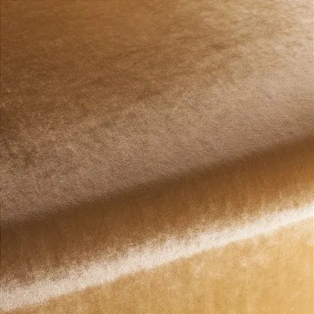 Ткань Carlucci Palazzo Velvet CA1175-063