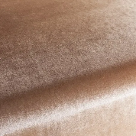 Ткань Carlucci Palazzo Velvet CA1175-064