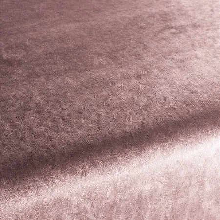 Ткань Carlucci Palazzo Velvet CA1175-068