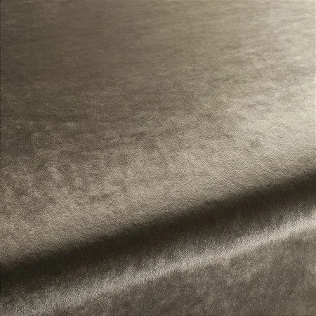 Ткань Carlucci Palazzo Velvet CA1175-071