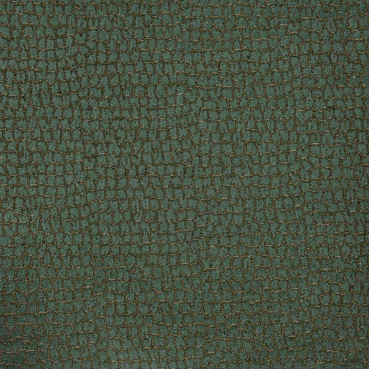 Ткань Lizzo Inedit GAUDI-13