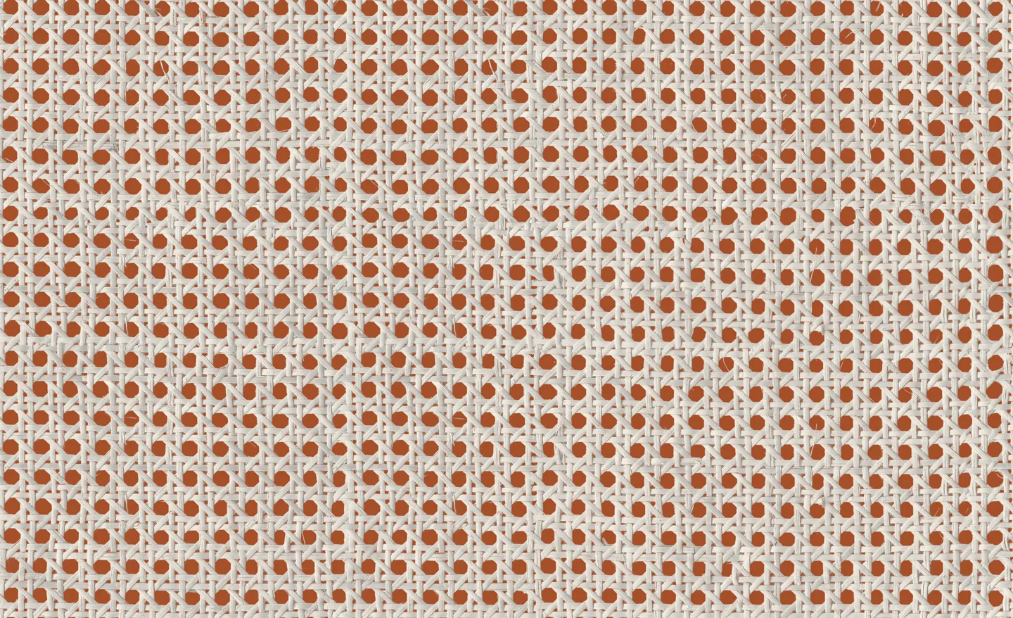 Обои для стен Coordonne Raffias 9800004 #1