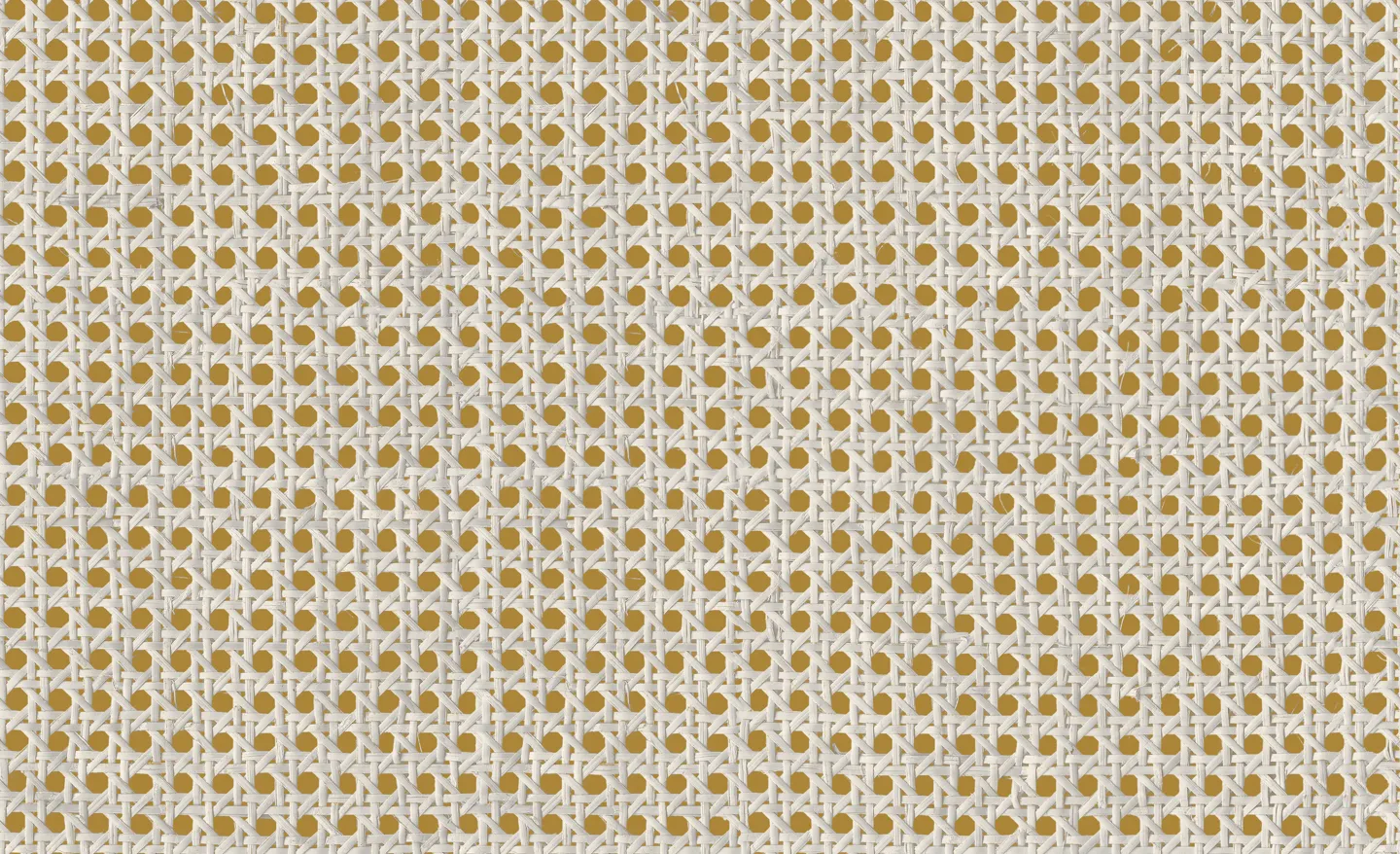 Обои для стен Coordonne Raffias 9800006 #1