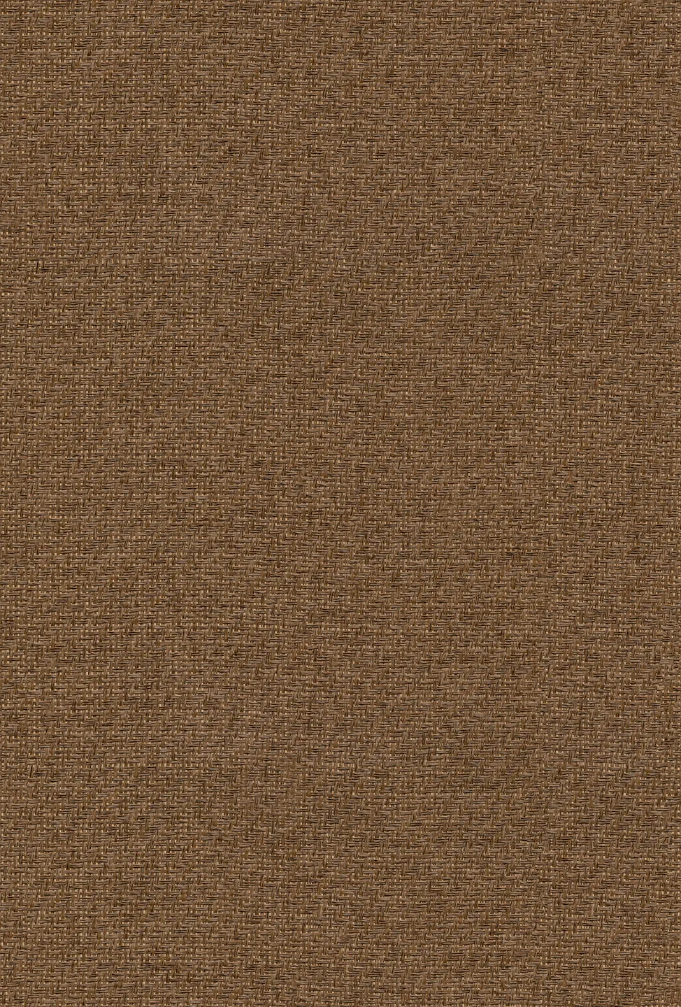 Обои для стен Coordonne Raffias 9800027 #1