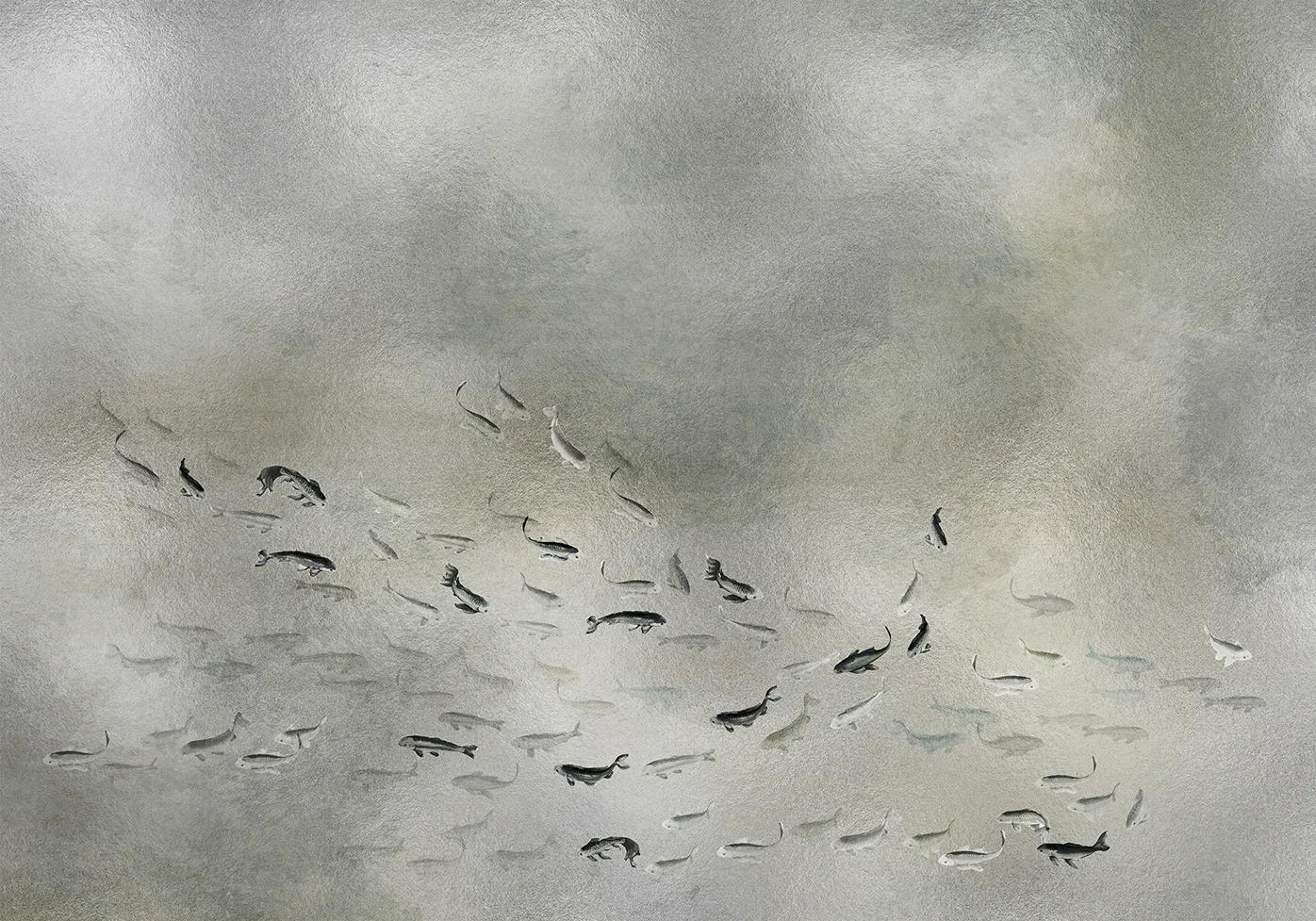 Обои для стен Coordonne Random Metallics HR_9600061 #1