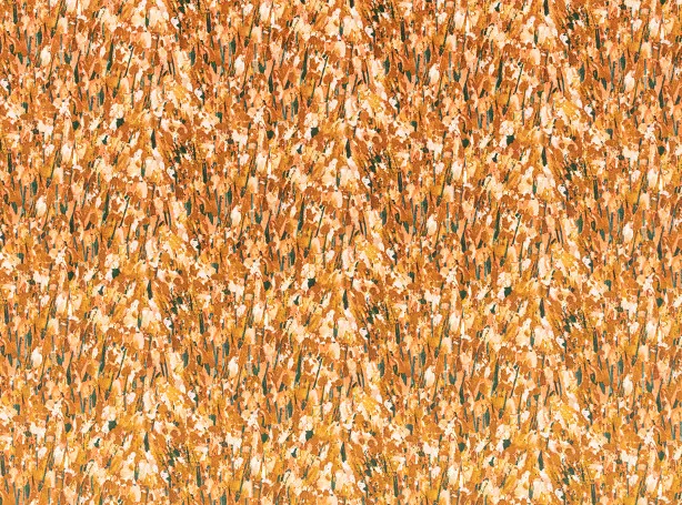 Ткань Kirkby design Formation Decorative Weaves K5305-03