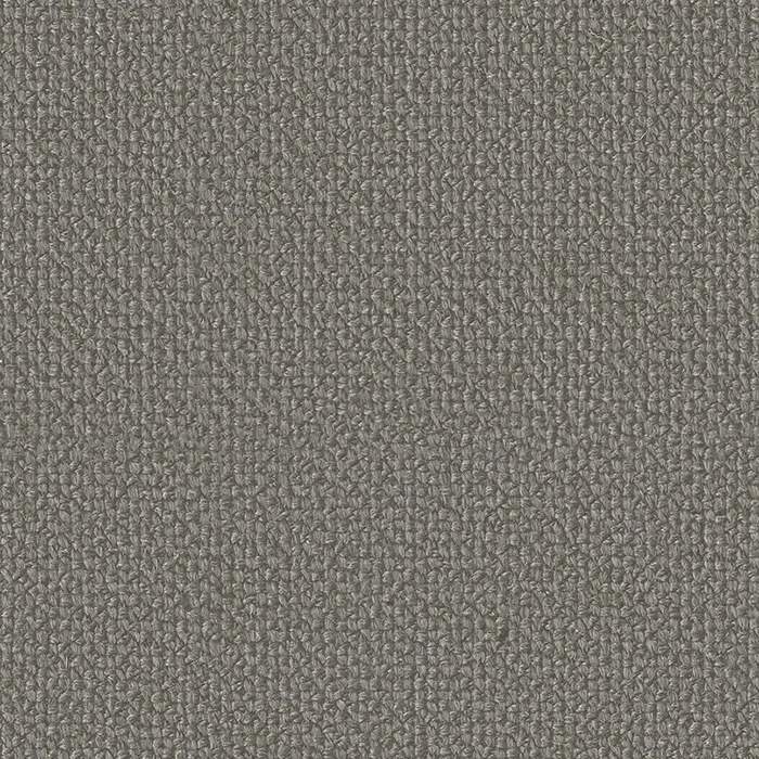 Ткань Faboie Boundless III FC-BD3002N