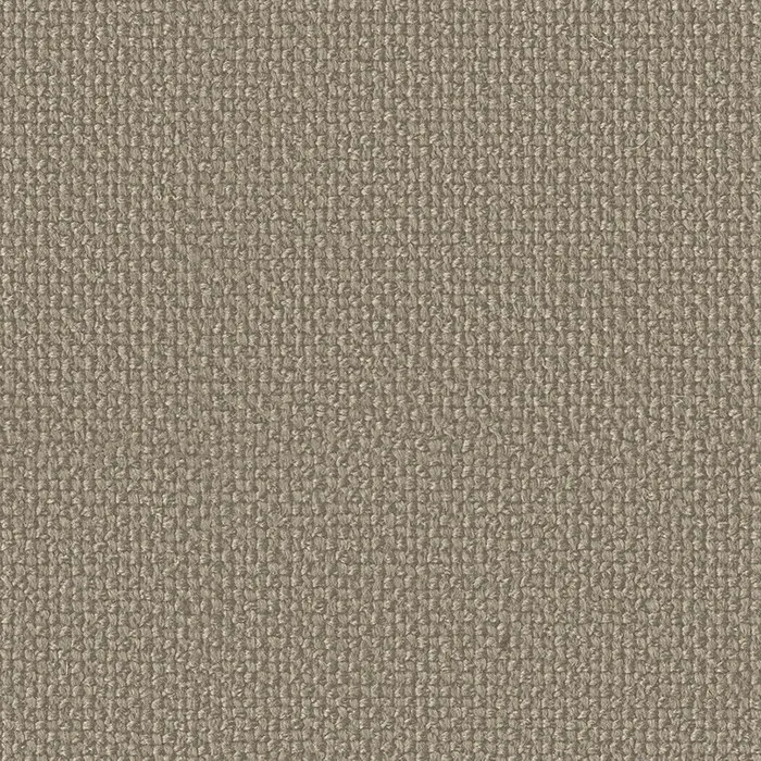 Ткань Faboie Boundless III FC-BD3004N