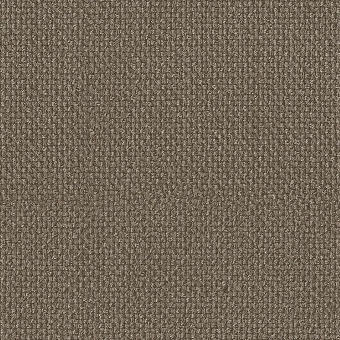 Ткань Faboie Boundless III FC-BD3006N