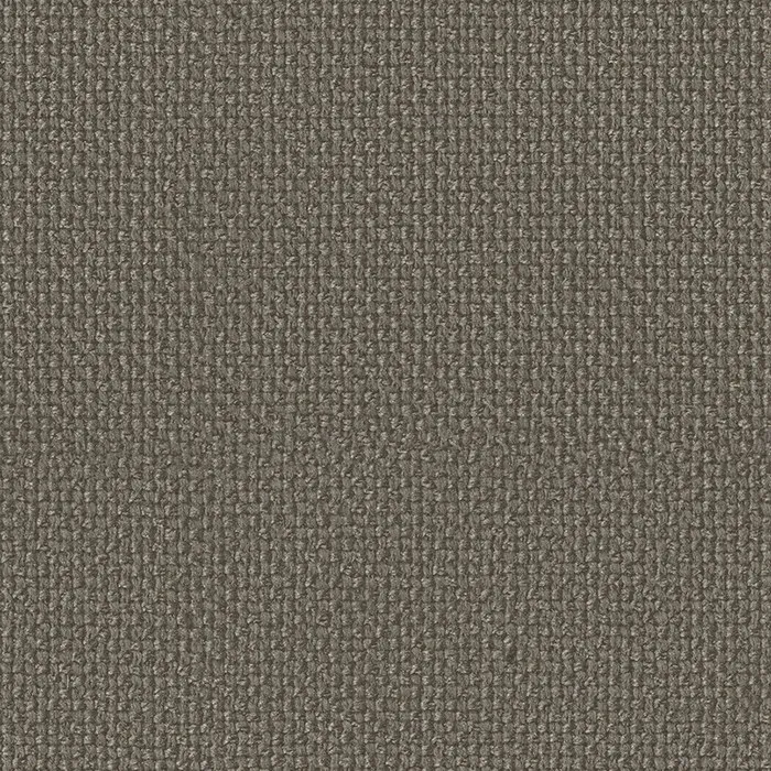 Ткань Faboie Boundless III FC-BD3007N