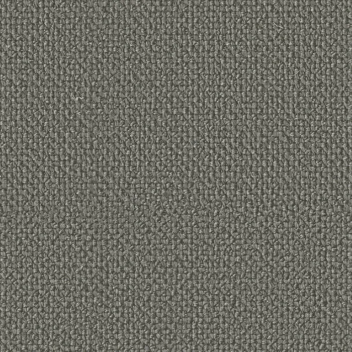 Ткань Faboie Boundless III FC-BD3011N