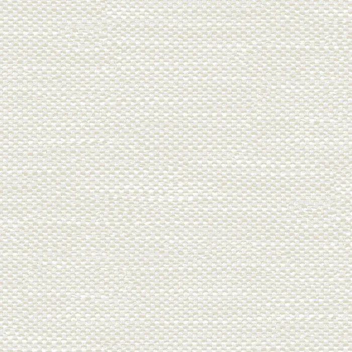 Ткань Faboie Boundless III FC-BD3701M